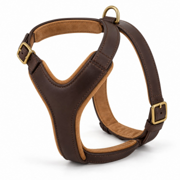 Padded Leather Dog Tracking Harness - Complete product view