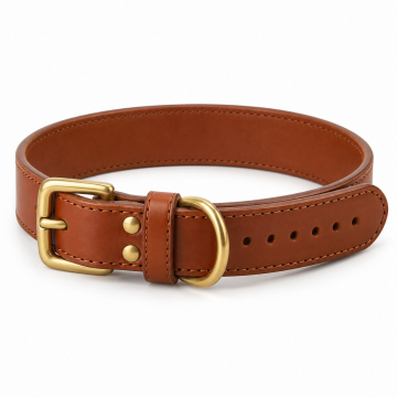 Personalised Leather Dog Collar - Complete product view